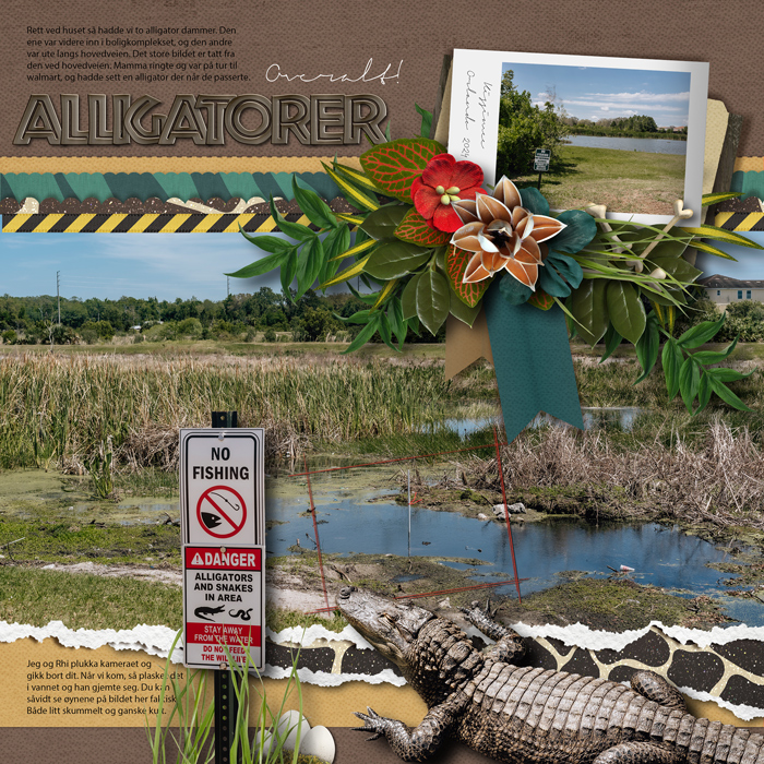 Alligators everywhere