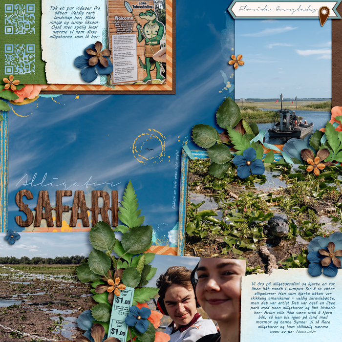 Alligatorsafari