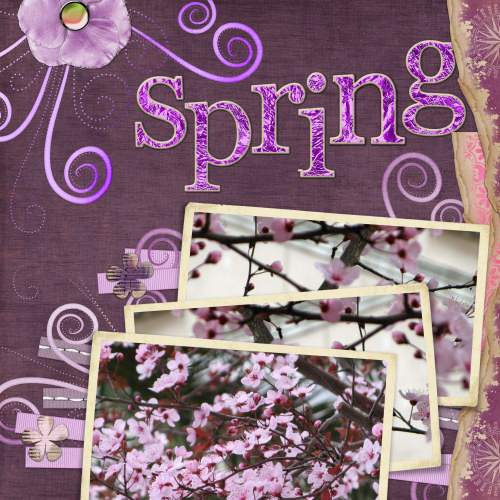 Almond-Trees 1