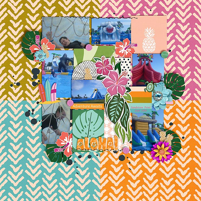 Aloha Adventure Awaits