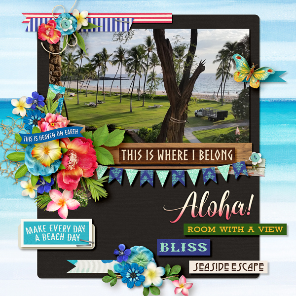 Aloha!