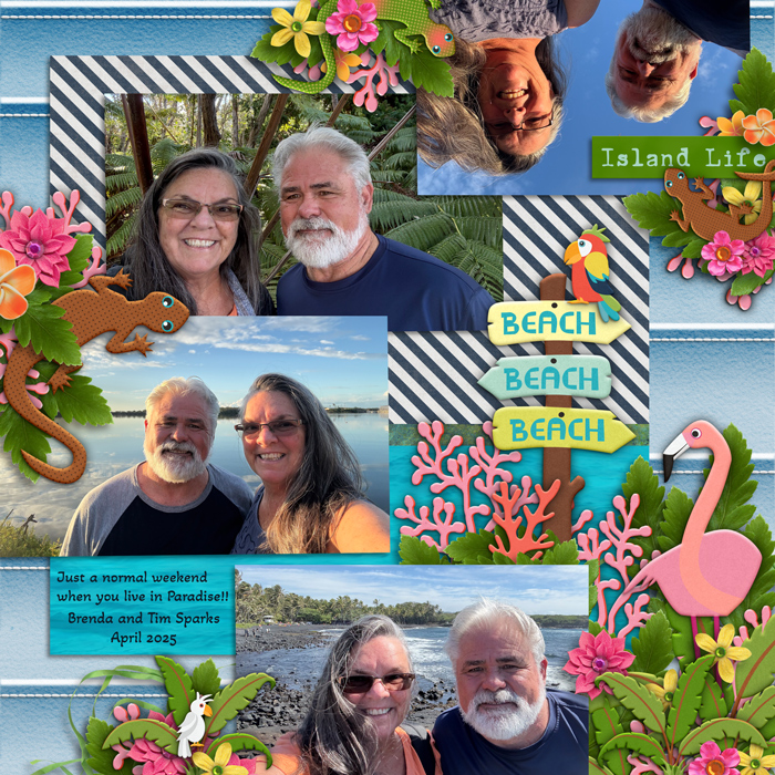 AlohaLand Bundle from Clever Monkey Graphics