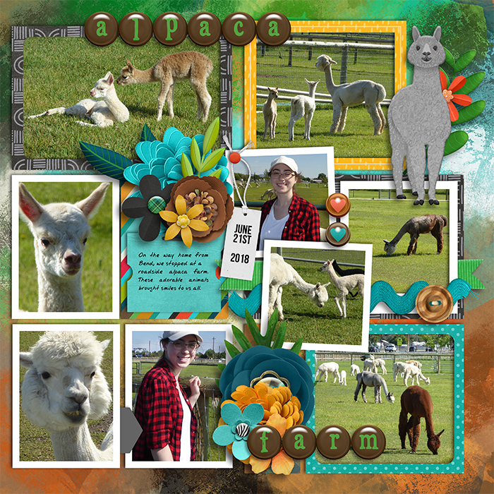 Alpaca Farm