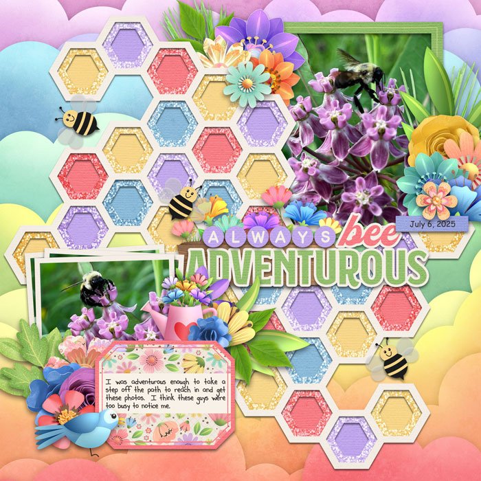 Always Bee Adventurous