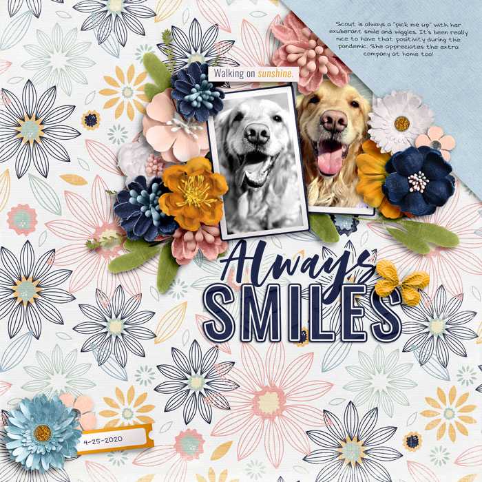 Always Smiles