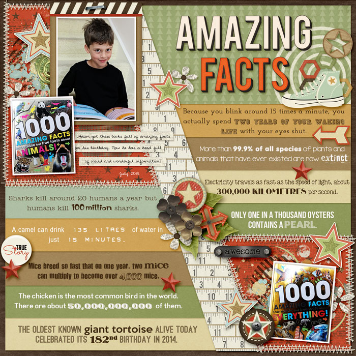 Amazing Facts