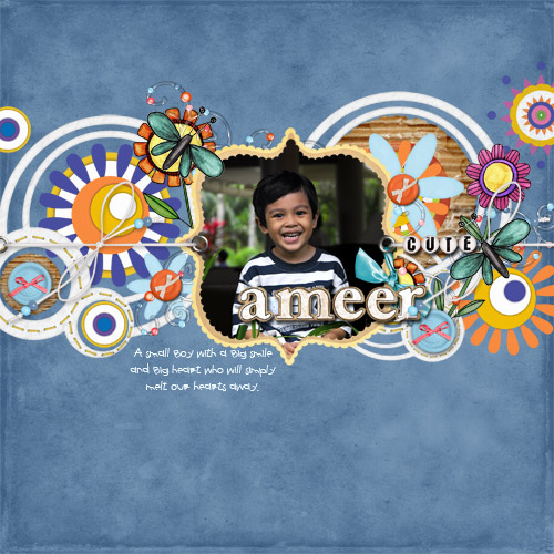 Ameer