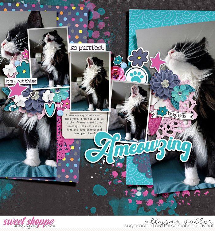 Ameowzing