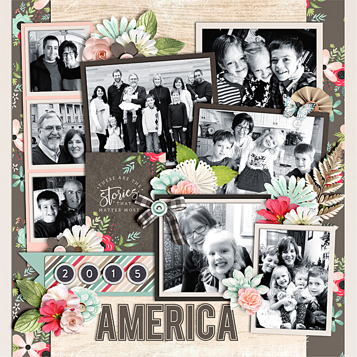 America 2015 Cover Page