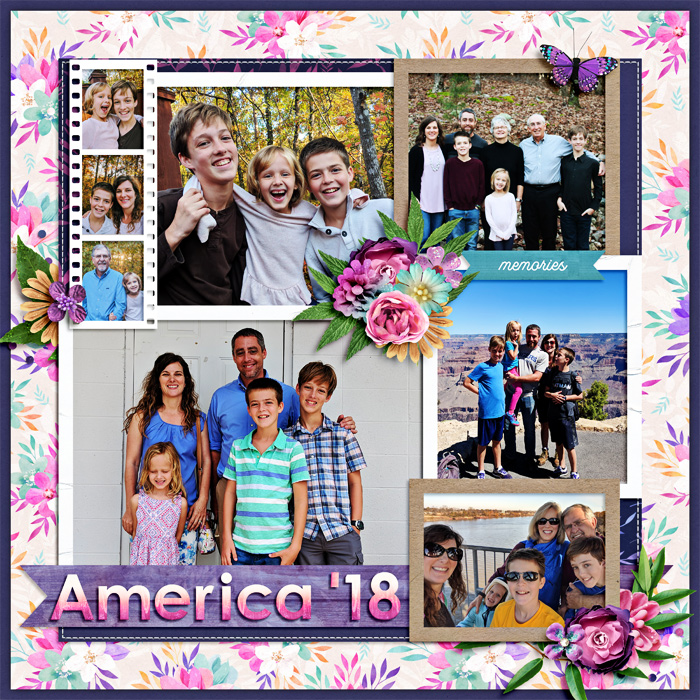America 2018 Title Page