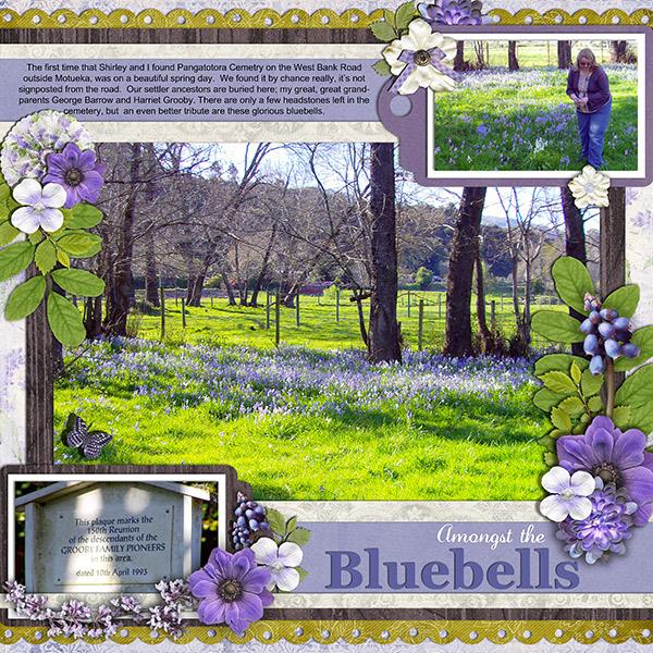 Amongst the Bluebells