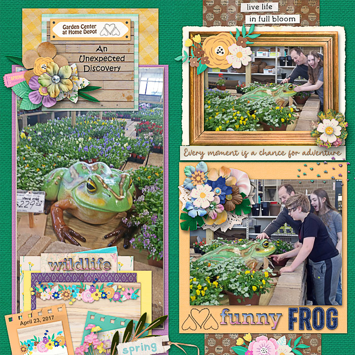An Unexpected Discovery at the Garden Center