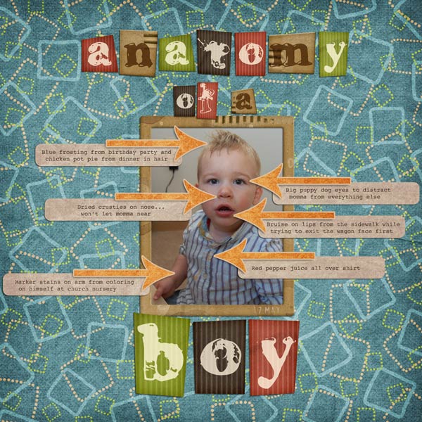 Anatomy of a Boy