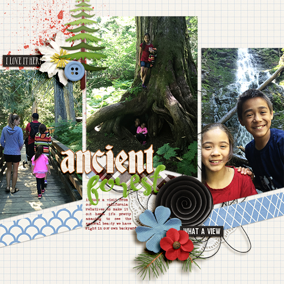Ancient Forest