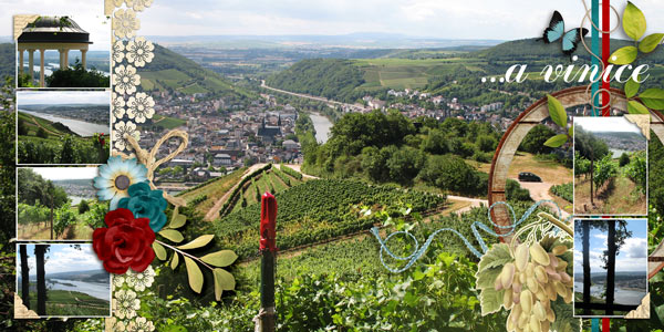 ...and vineyards