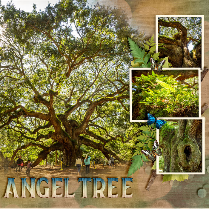 Angel Tree