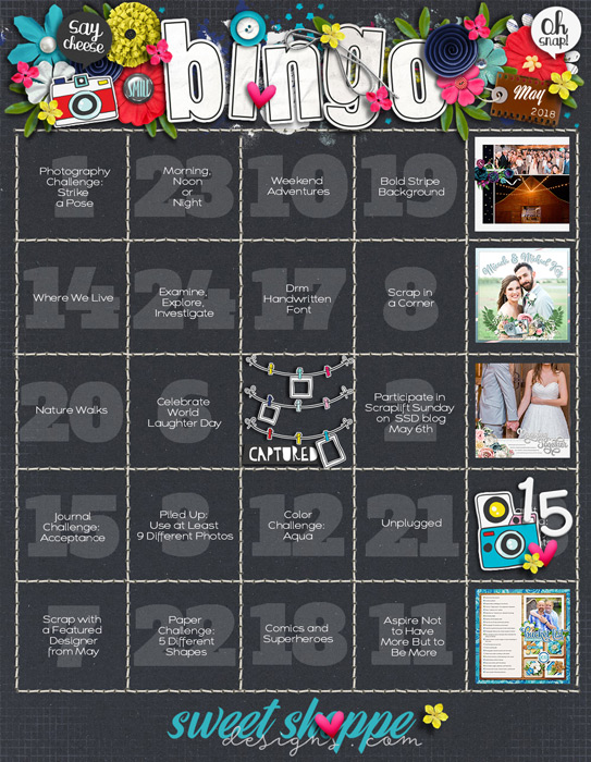 Angie's May 2018 Bingo card