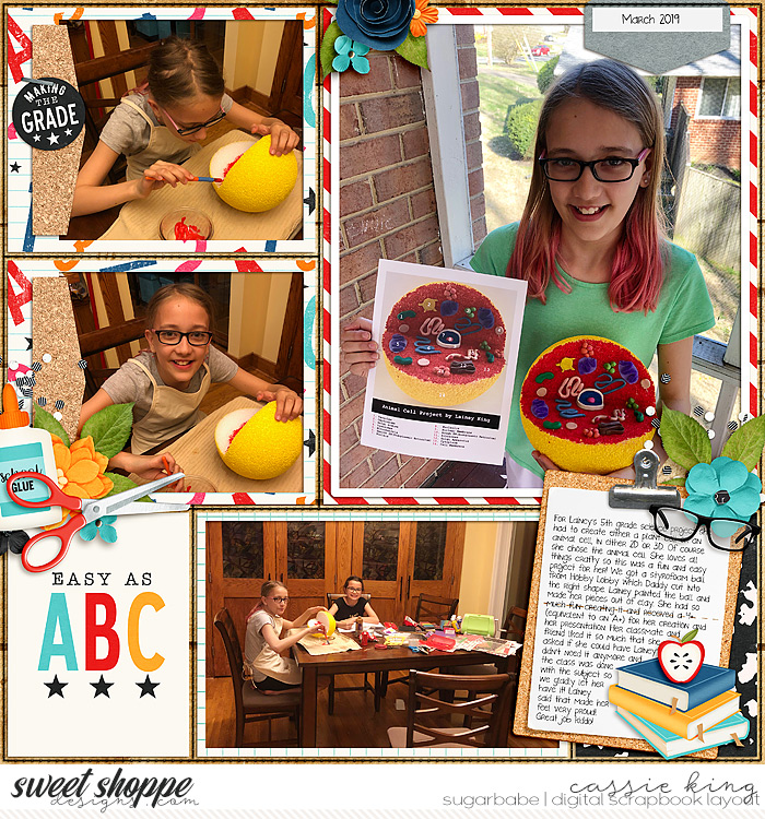 Animal Cell Project