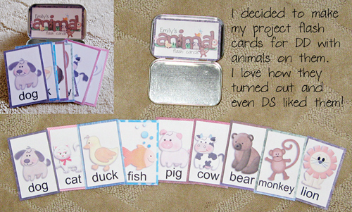 Animal Flash Cards in a tin