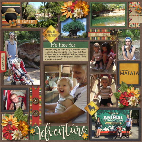 Animal kingdom Adventure