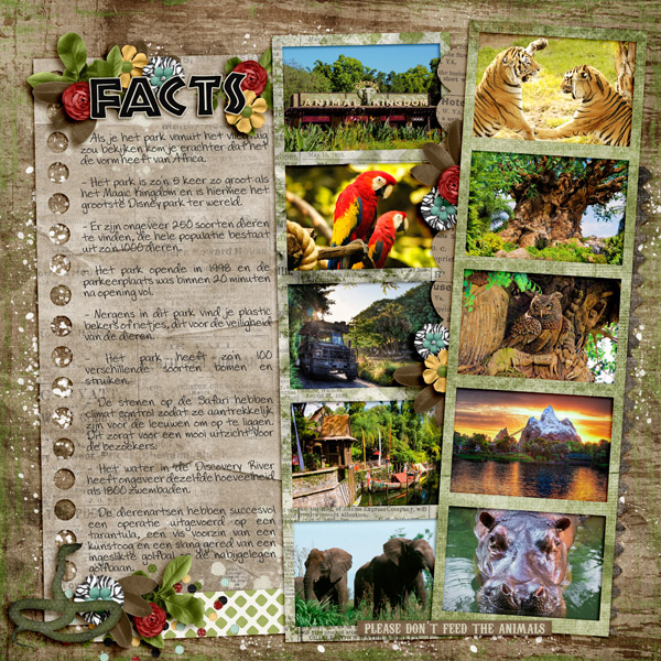 Animal Kingdom Facts.