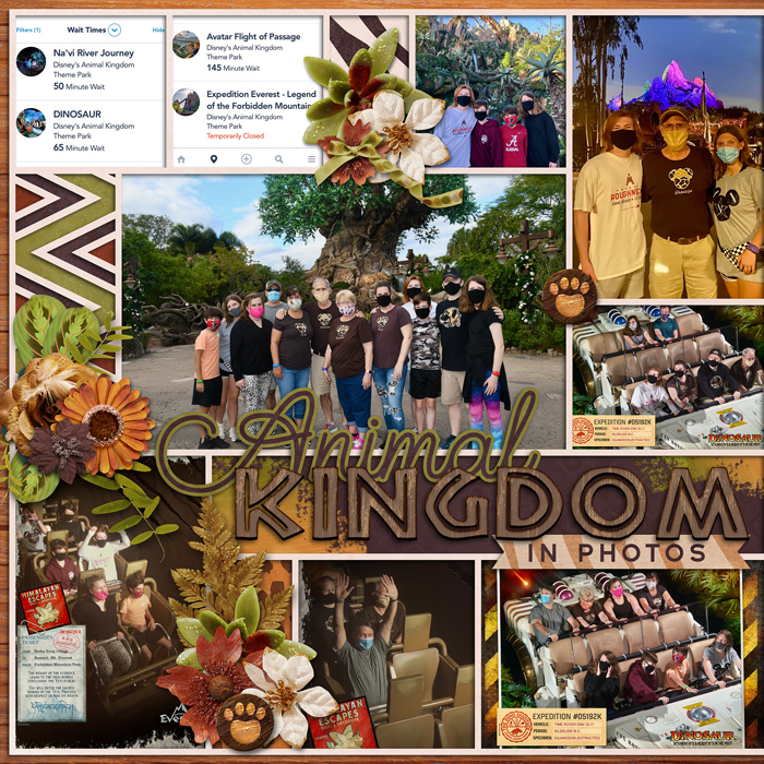 Animal Kingdom, left