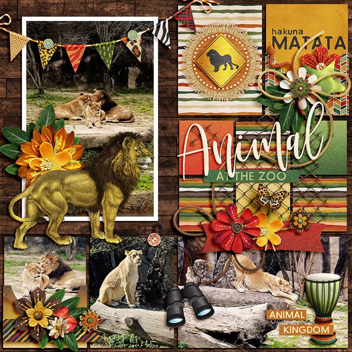 Animal Kingdom: Lion