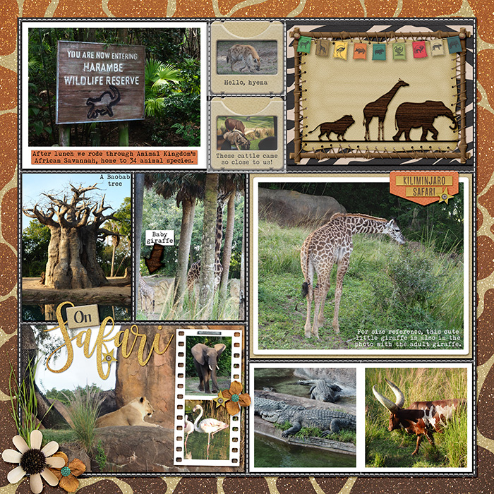 Animal Kingdom-Safari
