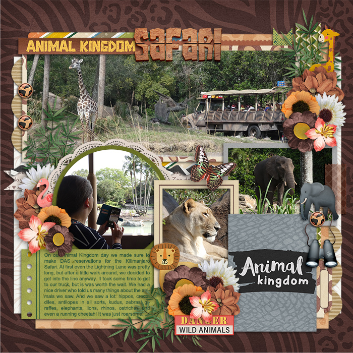 Animal Kingdom Safari