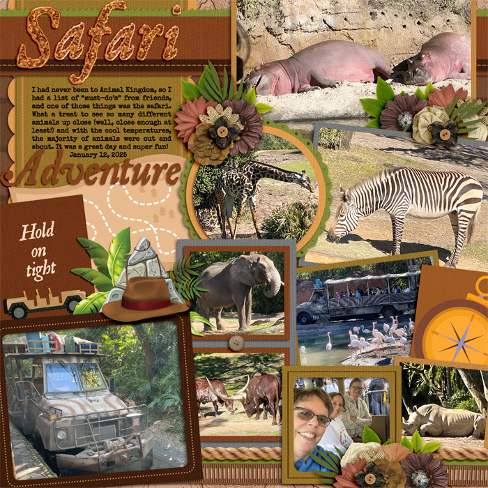 Animal Kingdom Safari