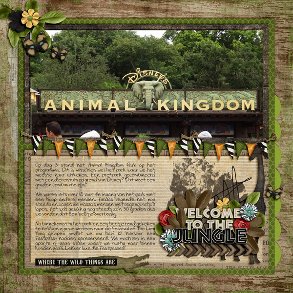 Animal Kingdom.