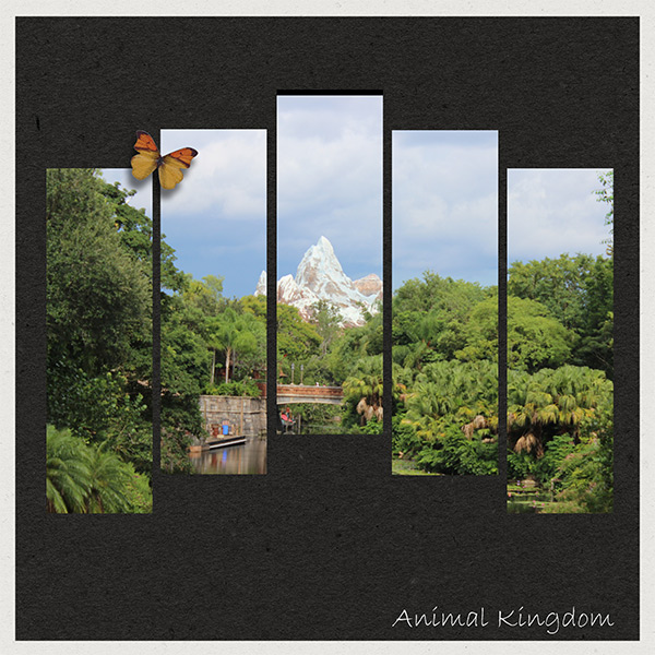 Animal Kingdom