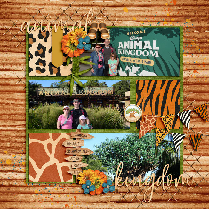 Animal Kingdom