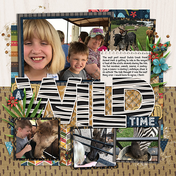 Animal Safari