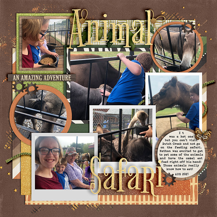 Animal Safari