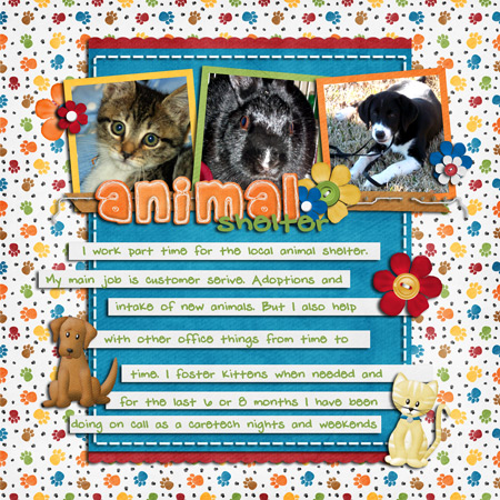 Animal Shelter