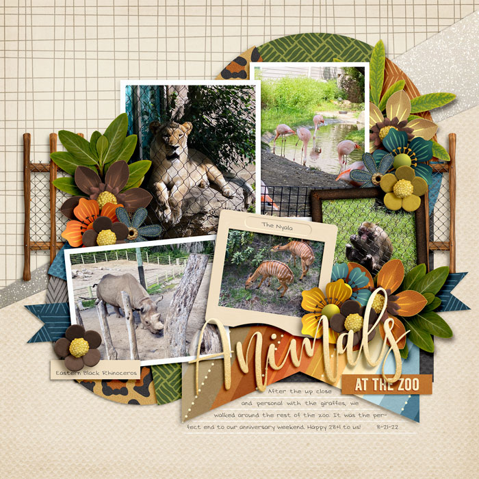 Animals at the Zoo