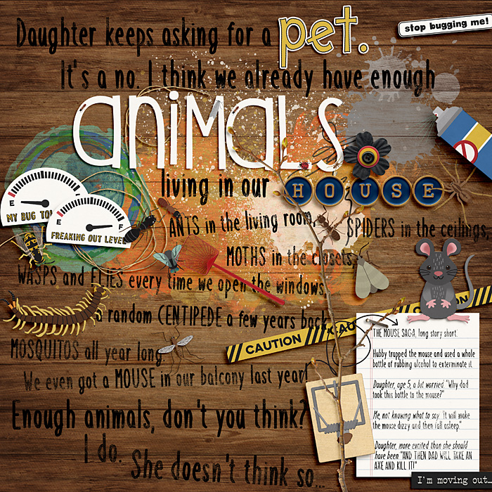 Animals in our house
