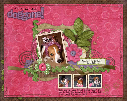 another birthday... doggone!