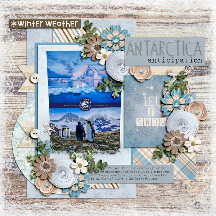 Antarctica Anticipation