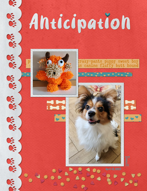 Anticipation