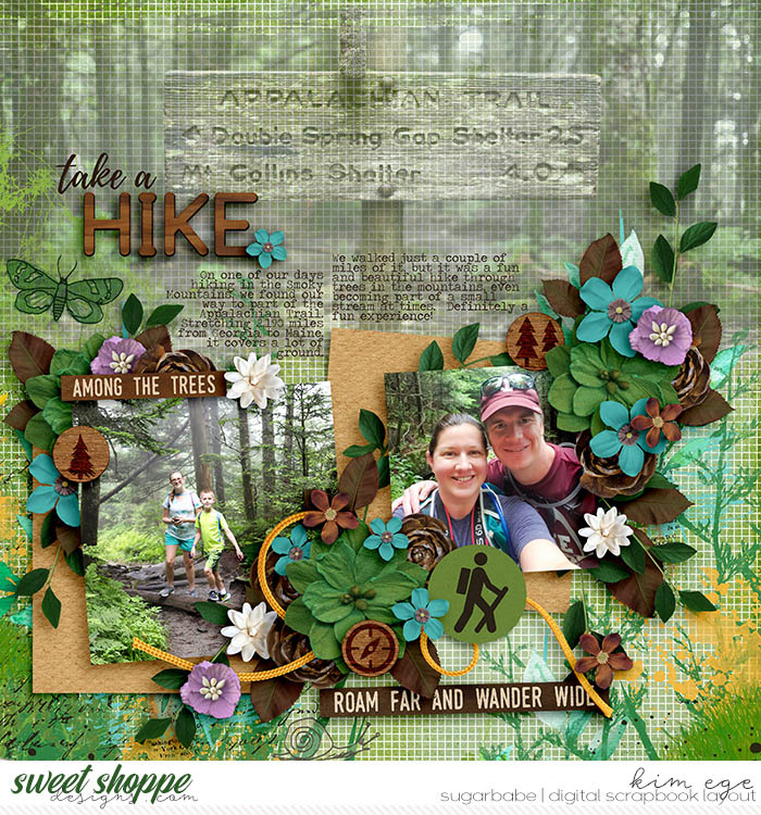 Appalachian Trail Hike
