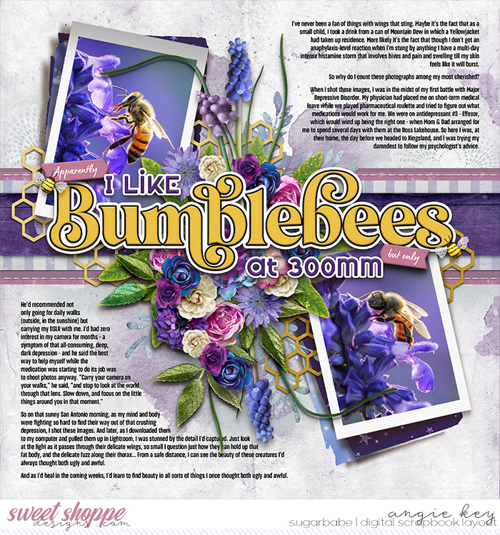 Apparently I like Bumblebees at 300mm