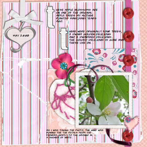 Apple Blossom Time 2