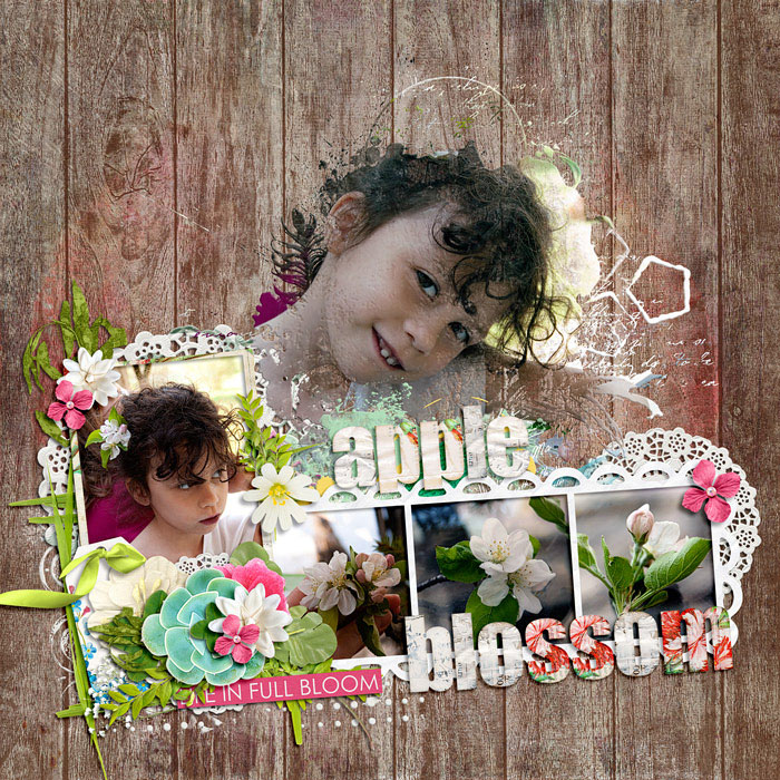 Apple Blossom
