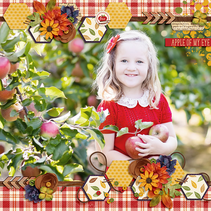 apple of my eye