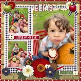 Apple of my eye