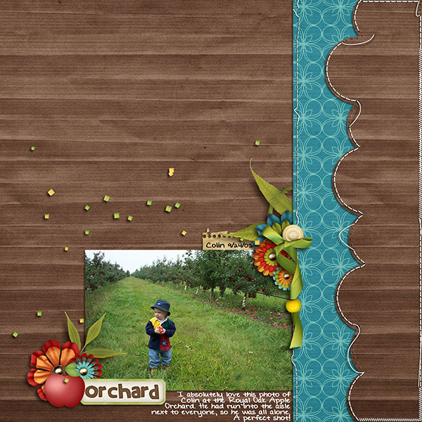 Apple Orchard