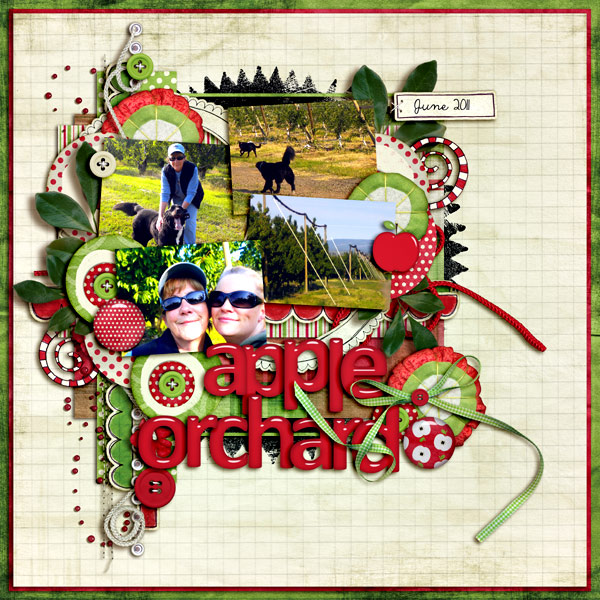 Apple Orchard