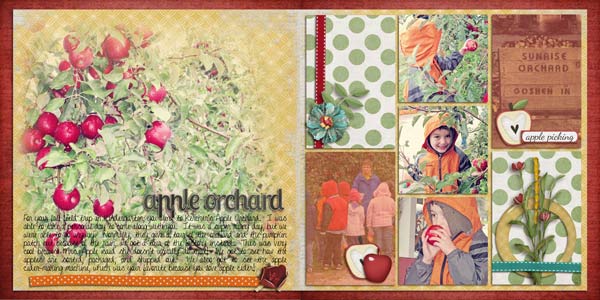 apple orchard